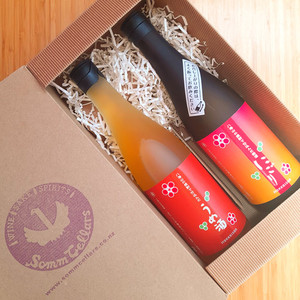 Hakkaisan Premium Plum Wine 2 Bottle Pack Somm Cellars