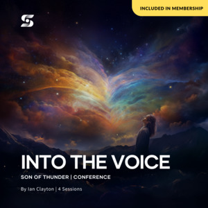 Conferences: Into the Voice