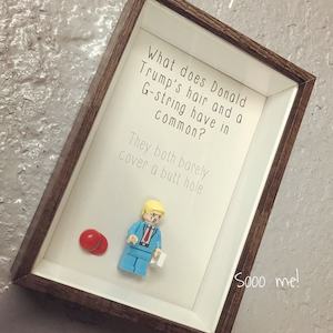 Products: Small Frame – Trump – Sooo me