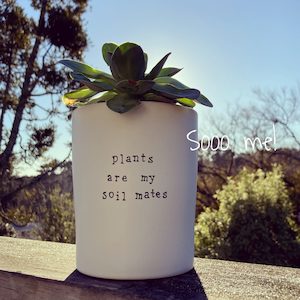 Plant Pot – soil mates – Sooo me
