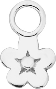 Eligible For Discount Code: CYL Single Pendant - Silver / Icon