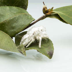 Brooches: Cicada Shell Pin - Sterling Silver