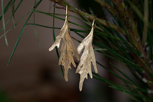 Botanical Collection: Tanekaha Drop Earrings - Gold Plated