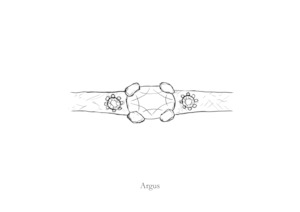 Settings: Argus Ring - Made to Order
