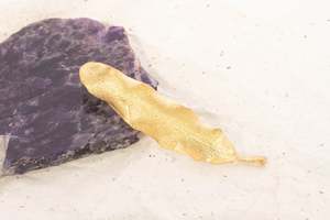 Botanical Collection: Rewarewa Leaf Brooch - Gold Plated