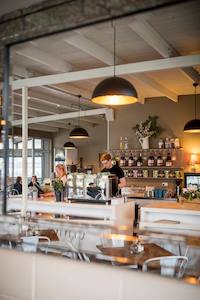 Hamilton: CINNAMON - Hamilton