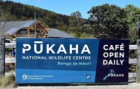 Wairarapa: Kākā Café at Pūkaha National Wildlife Centre - Tararua