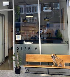Wellington: Staple Espresso  - Wellington