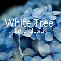 Auckland East: White Tree Floral Design - Orakei