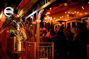 Auckland North Shore: Tiny Triumphs - Devonport