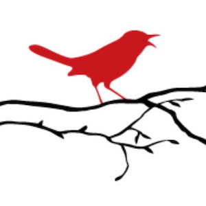 Auckland South: Songbird Cafe - Waiata Shores