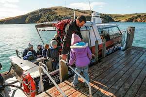 Dunedin: Port to Port Cruises and Wildlife Tours  - Dunedin