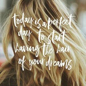 Nelson Marlborough: Capelli Hair Salon - Nelson