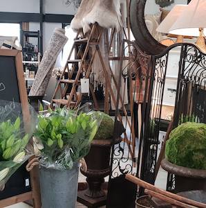 Northland: The Black Shed - Waipu