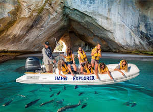 Coromandel: Hahei Explorer Cathedral Cove Boat Tour - Coromandel
