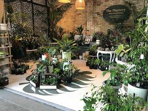 Coromandel: The Plantery - Coromandel