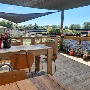 South Canterbury: Back Paddock Garden and Gifts - Waimate