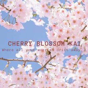 Gisborne: Cherry Blossom Kai - Gisborne
