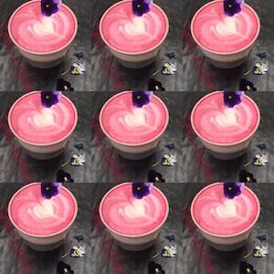 North Canterbury: Beach House Cafe - Kaikoura