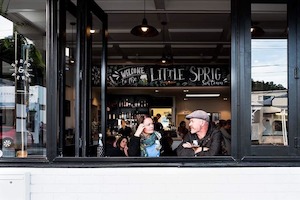 Franchises: Little Sprig - Seatoun