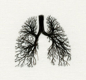 Products: Breathe Lab - SOUL Centre