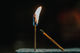 Understanding Burnout mp3 Soul Tour