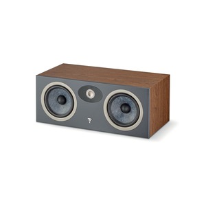 Focal Theva Centre