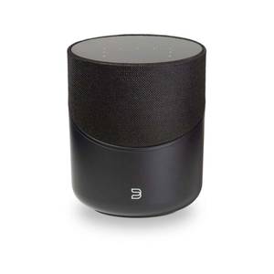 Streaming: Bluesound Pulse M Music Streaming Speaker