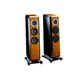 TAD Grand Evolution One Loudspeaker