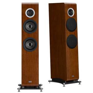 Floorstanding Speakers: TAD Evolution Two Tx Floorstanding speakers