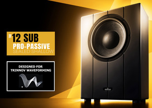 Ascendo- The12 Sub