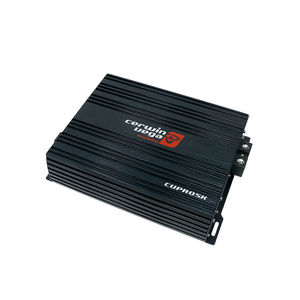 Amplifiers: CERWIN Vega CVPRO5K 5000W RMS  FullRange Class D Monoblock Pro Amplifier