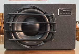 LER Audio ST-10 Powered Subwoofer – Compact Powerhouse for Serious Bass