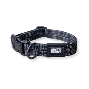 Products: Mackenzie Collar Southern Buddy