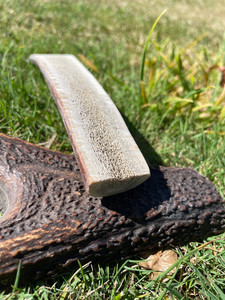 Products: Premium Medium Split Antler Southern Buddy
