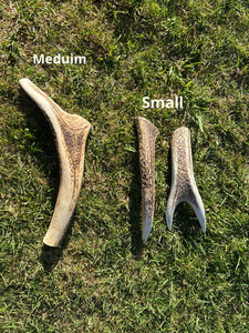 2 Smalls and 1 Medium Premium Antler Chew Southern Buddy