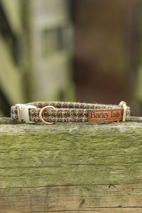 Products: Tussock Tweed Collar Southern Buddy