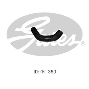 Cooling System: Lower Radiator Hose, Small Block (CL/CM)