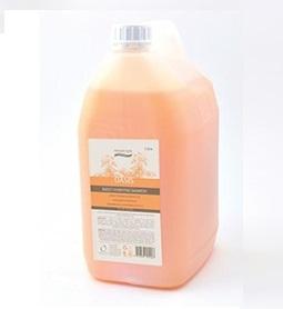 Natural Look: Natural Look Boost Moisture Shampoo 5 Litre