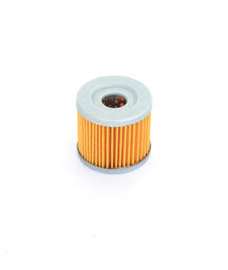 Athena Air and Oil Filters