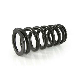 Suspension Suspension Parts: RT SHOCK SPRING 63X260 PDS P05