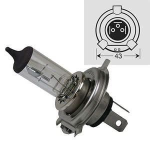 H4 12v 60/55w1P43T bulbs Todo #01661