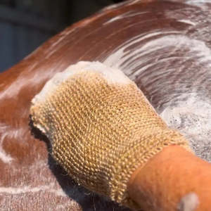 Eco Horse Mighty Mitt
