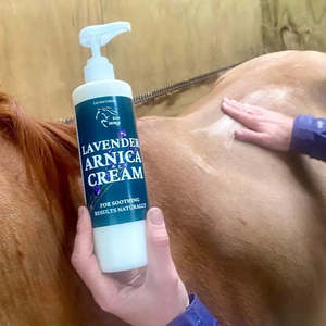 Grooming: Eco Horse Lavender Arnica Cream