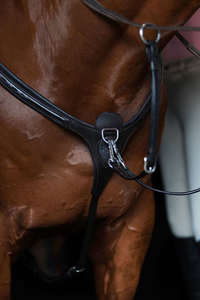 Breastplates And Martingales: Victory 3 Point Breastplate
