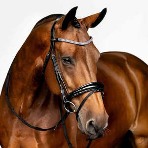 Lumiere: Amie Leather Dressage Bridle