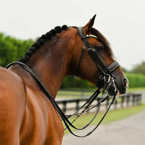 Lumiere: Delta Double Bridle