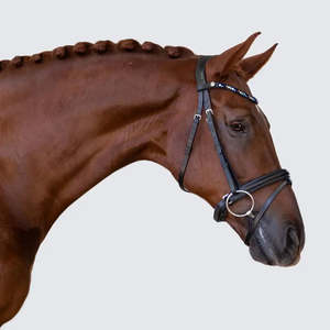 Lumiere: Demi Hanoverian Bridle