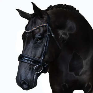 Bridles Accessories: Ariana Cavesson Snaffle Bridle