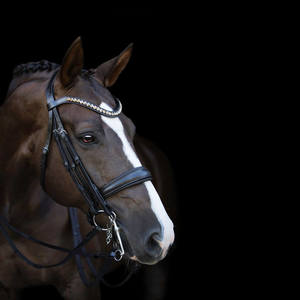 Bridles Accessories: Athens Double Bridle